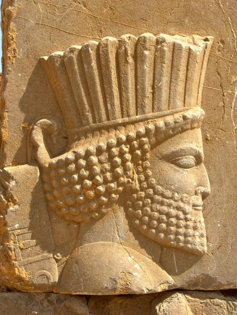 داریوش بزرگ