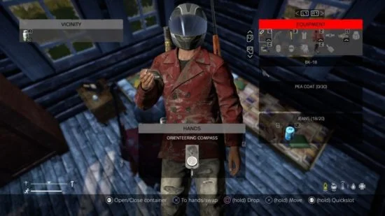 DayZ