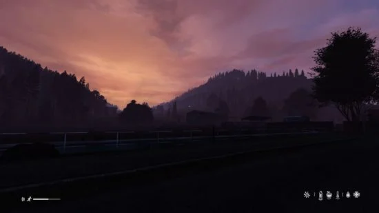 DayZ