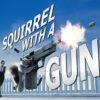 Squirrel with a Gun